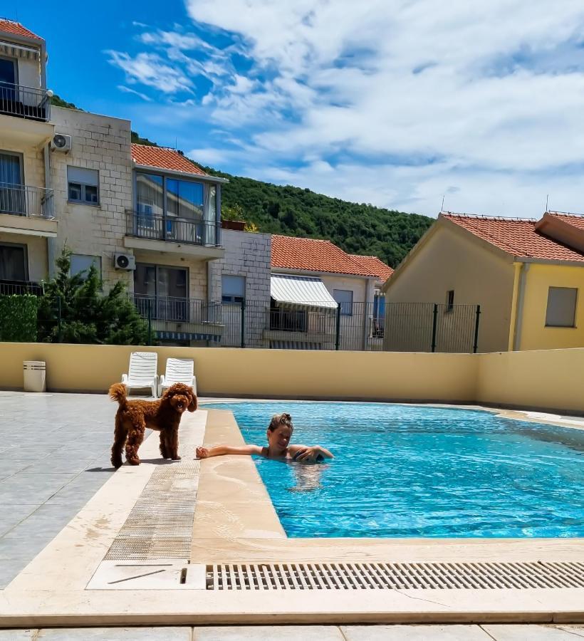 Anja & Ogo Apartments Sea View & Pool Petrovac Bagian luar foto