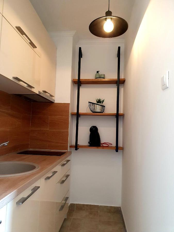 Anja & Ogo Apartments Sea View & Pool Petrovac Bagian luar foto